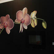 Роспись стен «Орхидея»